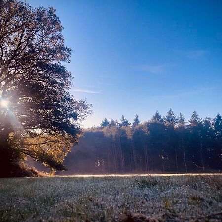 Klein Soestdijk Panzió Veenhuizen Kültér fotó